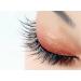 Elara Craft Magnetic Eyelashes - Reusable Double Sided Waterproof Lashes with Applicator | Style 3 for Effortless Beauty - Buy Online on GoSupps.com