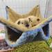 Yanmucy Rat Hammock Double-Layer Fleece Guinea Pig Hammock House Warm Soft Rat Hammocks for Cage Accessories Ferrets Hideout Ferret Hamster Hammock for Small Animal Playing Sleeping (blue) - Buy Online on GoSupps.com