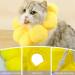 Soft Adjustable Cat Recovery Collar | Leak Protection & Comfort | Sunflower Design (Neck 8-25cm) - Buy Online on GoSupps.com