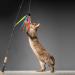 Molain Interactive Cat Toys - 12 Colorful Fabric Ribbons for Kitten Training & Interior Play | Premium Pet Accessories - Buy Online on GoSupps.com