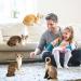 Hpory Cat Soft Toy Simulation Cat Plushie Cute Plush Cat Doll Realistic Cat Soft Plush Faux Plush Kitten Toy Pet Animal Photography Prop Room Home Decoration Companion Pets Toy Gift for Kids Orange Cat - 30cm - Buy Online on GoSupps.com
