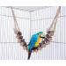 Yiflin 13-Step Natural Wooden Bird Ladder Bridge - 17-Inch Wood Bridge - Buy Online on GoSupps.com