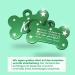 Ibera Gifts - Personalized Bone-Shaped Pendants for Medium to Large Dogs & Cats - Engraved Dog Collar Tags (Green Stars) - Buy Online on GoSupps.com
