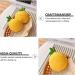 UKCOCO 1Pc Lemon Headphone Case Wireless Earphone Case Earphone Sleeve Headset case Earphone Shell Cute Skin Case Earbud Case Cover Clear Case Earphone Cover Silica Gel Simple Pro2 Yellow 9x6x4cm - Buy Online on GoSupps.com