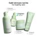 Gabit 20% Vitamin C Face Serum for Glowing Skin | Brightening Serum for Dark Spots Dull Skin Tanned Skin | Improves Wrinkles | Hyaluronic Ferulic CiCa Prebiotic Probiotic | Oil & PEG free |30 ml - Buy Online on GoSupps.com