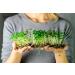 Mynatura Bio Daikon-Rettich Kgrezen - Healthy Vegan Sprouts & Germs (2x500g) | International Shipping Available - Buy Online on GoSupps.com