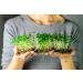Buy Mynatura Bio Germs Sprouts Buckwheat Vegetables | Healthy Vegan & Vegetarian | 500g - International Shipping Available - Buy Online on GoSupps.com