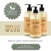 Fer Cheval Marseille Liquid Soap Unscented Fragrance-Free Savon De Marseille Soap Hypoallergenic Luxury French Liquid Soap 16.9 Fl oz (3 Pack) - Buy Online on GoSupps.com