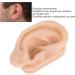 Skin-Friendly Silicone Ear Acupuncture Model for Otolaryngology Centers, Pharmacies, and Hospitals - Buy Online on GoSupps.com