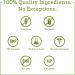 Dr. Amy Myers Leaky Gut Revive Powder - L Glutamine Supplement for Gut Repair & Health | Reduce Constipation, IBS, Bloating | Plant-Based Formula - Buy Online on GoSupps.com