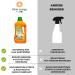Soil Cleaner for Moped Robots - Eco-Friendly Cleaning Concentrate | 1L for Wiping Robots & Suction Wipers | Effective Dirt Removal Foam-Free All Surfaces | Think Orange Be Green - Buy Online on GoSupps.com