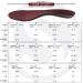 SoleAid Performance Insole 3.0 - Full Length Orthotic Insert for Firm Arch Support & Shock Absorbing Cushion - Ideal for Daily Comfort (Women 11-11.5 / Men 9-9.5) - Shop Internationally - Buy Online on GoSupps.com