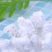 Imikeya Artificial Coral - White Aquarium Decoration | Realistic Underwater Coral Plant Ornament - Buy Online on GoSupps.com