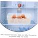 TEHAUX Cheese Holder 3pcs Bins Fridge And Bin Containers Container Rack Cheese Storage Small for Shelf Organizing S Egg Holder Transparent 25.5X9.5X8.5CM - Buy Online on GoSupps.com