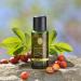 Primavera Wild Rose Oil 30ml - Organic Herbal Aroma & Body Oil - Natural Vegan & Regenerating Moisturizer in Glass Bottle - Buy Online on GoSupps.com