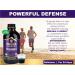 Immunia Synergy Elderberry Supplement for Immune Support - Antioxidant Rich Blend with Canadian Elderberries - Buy Online on GoSupps.com