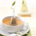 Tea Forte Classic Herbal Tea Presentation Box | Gift Set with 20 Assorted Handcrafted Pyramid Infuser Bags | Naturally Decaffeinated Herbal Teas - Buy Online on GoSupps.com
