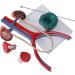 Scientific Anatomy Model of Male Urinary System | Urinary System Model is 14.5 Inches Tall | Features Kidneys with Adrenal Glands Ureters and Bladder | 19-Digit Indicator - Buy Online on GoSupps.com