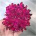 Crystal Rough Natural Crystals Quartz Freeform Reiki Stones Room Home Office Aquarium Decoration Accessories Gemstone Beautiful (Size : 300-350g) - Buy Online on GoSupps.com