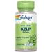 Solaray Kelp 550 mg with Folic Acid for Healthy Thyroid Function Energy & Metabolism Support | Non-GMO | 100 VegCaps