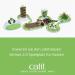 Buy Catit Play Track Wave Circuit - Interactive Cat Toy for Engaging Playtime | Fast International Shipping - Buy Online on GoSupps.com