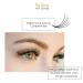 Premade 5D Eyelash Extensions Mixed Tray | Volume Lash Fans 12 Lines 9-15mm | Thick 0.1 | Curl D - Rena Fan Lashes - Buy Online on GoSupps.com