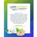 Buy WooBamboo! All Natural Silk Dental Floss Zero Waste 66ft Mint-Flavored Floss (Pack of 2) | Eco-Friendly Dental Care - Buy Online on GoSupps.com