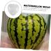 BRIGHTFUFU Fruit Shaping Molds Vegetables Tool Watermelon Shaper Mold Gardening Supplies Big Rod Ginseng Fruit Strawberry Transparent 17x17cm - Buy Online on GoSupps.com