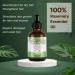 Rosemary Oil For Hair Growth Skin Care Eyelashes & Eyebrows. Rosemary Oil Stimulates & Strengthens Hair Growth Oil Pure Rosemary Essential Oil Hair oil For Men & Women (60ml) - Buy Online on GoSupps.com