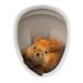 3D Toilet Seat Stickers Decals Funny Stickers Squirrel Toilet Lid Decal Removable Wall Art Sticker Waterproof Peel & Stick Wall Decals Decor for Bathroom Washroom Fridge Door Squirrel Toilet Sticker*2pcs