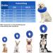 NASJAC Inflatable Hinge Dog & Cat Collar | Adjustable Soft Comfort & Leak Protection | XL Blue | Wound Care After Surgery - Buy Online on GoSupps.com