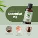 100% Pure Basil Essential Oil for Alertness - 1 oz Therapeutic Grade Aromatherapy Oil - Buy Online on GoSupps.com