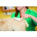 Andis - Carda Medium Firm Brush - Buy Online on GoSupps.com