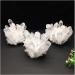 Gift Natural Beautiful White Crystal Cluster Quartz Raw Ore Home Decor Crafts Ornaments Specimens for Healing Crystals (Size : 600-700g) - Buy Online on GoSupps.com