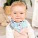 Cheeky Chompers Neckerchew Teething Bib (Botanical Bloom) - 2-in-1 Bandana Style Dribble Bib with Silicone Teether for Baby & Toddler - Buy Online on GoSupps.com