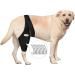 Dog Leg Support Brace | Dog Leg Braces for Support | 10 Support Sticks Dog Back Leg Brace - Comfortable Hip and Leg Protector Breathable for Small Senior and Disabled Dogs - Buy Online on GoSupps.com