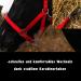 Adjustable Horse Halter for Warmbloods Thoroughbreds & Ponies | Safe Tear-Resistant Design | Perfect for Pasture & Stable Use (Red) - Buy Online on GoSupps.com