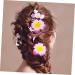 Angoily Hair Accessory for Girls Hair Clips for Girls Barrettes for Girls Hibiscus Flower Hair Clips Summer Hair Clips Accesorios Para Plumeria Hair Clip Hair Accessories The Flowers - Buy Online on GoSupps.com