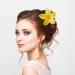 6 Pack Large Hawaiian Flower Hair Claw Clips for Women - Strong Hold Hair Accessories for Thin Thick Curly Hair - 90's Style Jaw Clip - Buy Online on GoSupps.com