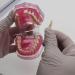 Buy Multifarious Dental Models for Teaching & Studying | Removable Teeth Implant & Orthodontic Demo Models (M7008) - Ideal for Dentists & Students - Buy Online on GoSupps.com