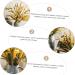Alipis 3pcs Simulated Ears of Corn Dried Grasses Bundle Home D cor Dried Millet Home Accessories Decor Faux Plants Artificial Plant Home Decor Millet Decor Paddy Artificial Grass Iron Greenx3pcs 12X75CMx3pcs - Buy Online on GoSupps.com