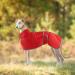 Greyhound rain coat light whippet-coat waterproof greyhound coat waterproof whippet rain coat greyhound-summer winter rain coat dog coats for ambushes for medium-sized and large dogs XXL red