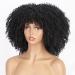 AISI HAIR 14 inch Afro Curly Black Wig with Bangs - Synthetic Glueless Kinky Curly Hair Wig for Black Women - Buy Online on GoSupps.com