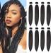 8 Pack Pre Stretched Braiding Hair - 26" 100G/Pack Premium Kanekalon Braiding Hair Pre Stretched Extensions, Professional Itch Free Hot Water Setting Perm Yaki Texture Prestretched Braiding Hair (#1B) Gifts 26 Inch (Pack of 8) #1B