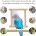 Fainfun Bird Mirror with Perch - 10x10 cm Budgie Toy Wooden Bird Stand with Mirror for Parrots Pigeons & Canaries - Buy Online on GoSupps.com