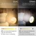 Buy Daily Light Alarm Clock - Sunrise Sunset Simulation 11 Colors 7 Sounds Snooze Feature | Best Bedside Lamp for Relaxing Wake-Up - Buy Online on GoSupps.com
