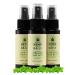 Hemp Daily Active Spray | Hemp Spray with Essential Oils | Vegan Organic Ingredients | 2 Fluid Ounces 3 Pack Classic Mint 2 Fl Oz (Pack of 3)