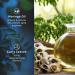 Ustraa Ayurvedic Cold Pressed Oil 200ml | Moringa & Curry Leaves | Anti-Aging Sulphate-Free Paraben-Free - Buy Online on GoSupps.com