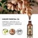 Premium Lymph Cleanse Herbal Detox Oil - Apolloostory Ginger Massage Oil for Relaxation & Stress Relief (1 Pc) | International Shipping Available - Buy Online on GoSupps.com