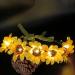 Werhonton LED Flower Handband Light Up Sunflower Hair Accessories Festival Hairband for Women and Girls(pack of 1) (Yellow)